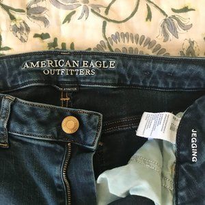 American Eagle Jegging SZ 8 Long